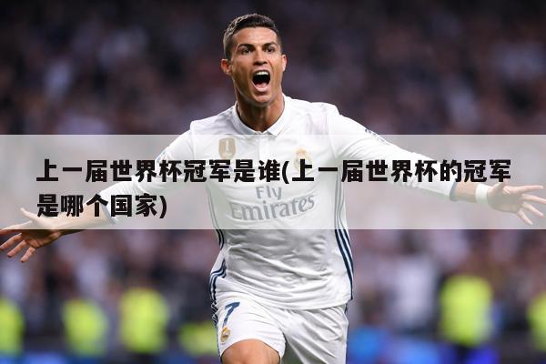 上一届世界杯冠军是谁(上一届世界杯的冠军是哪个国家)