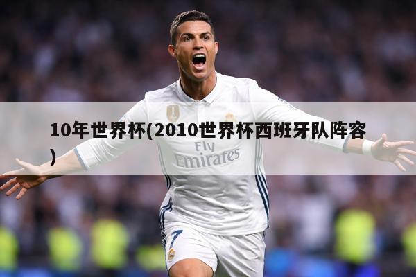 10年世界杯(2010世界杯西班牙队阵容)