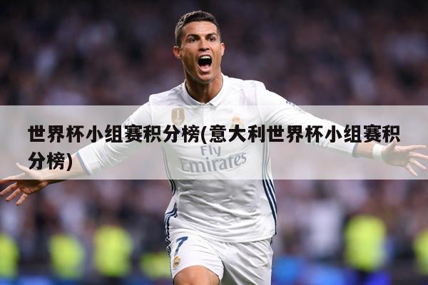 世界杯小组赛积分榜(意大利世界杯小组赛积分榜)